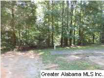 144 Allcorn Drive, Unit 1 AC Remlap, AL 35133 - Photo 4 of 4