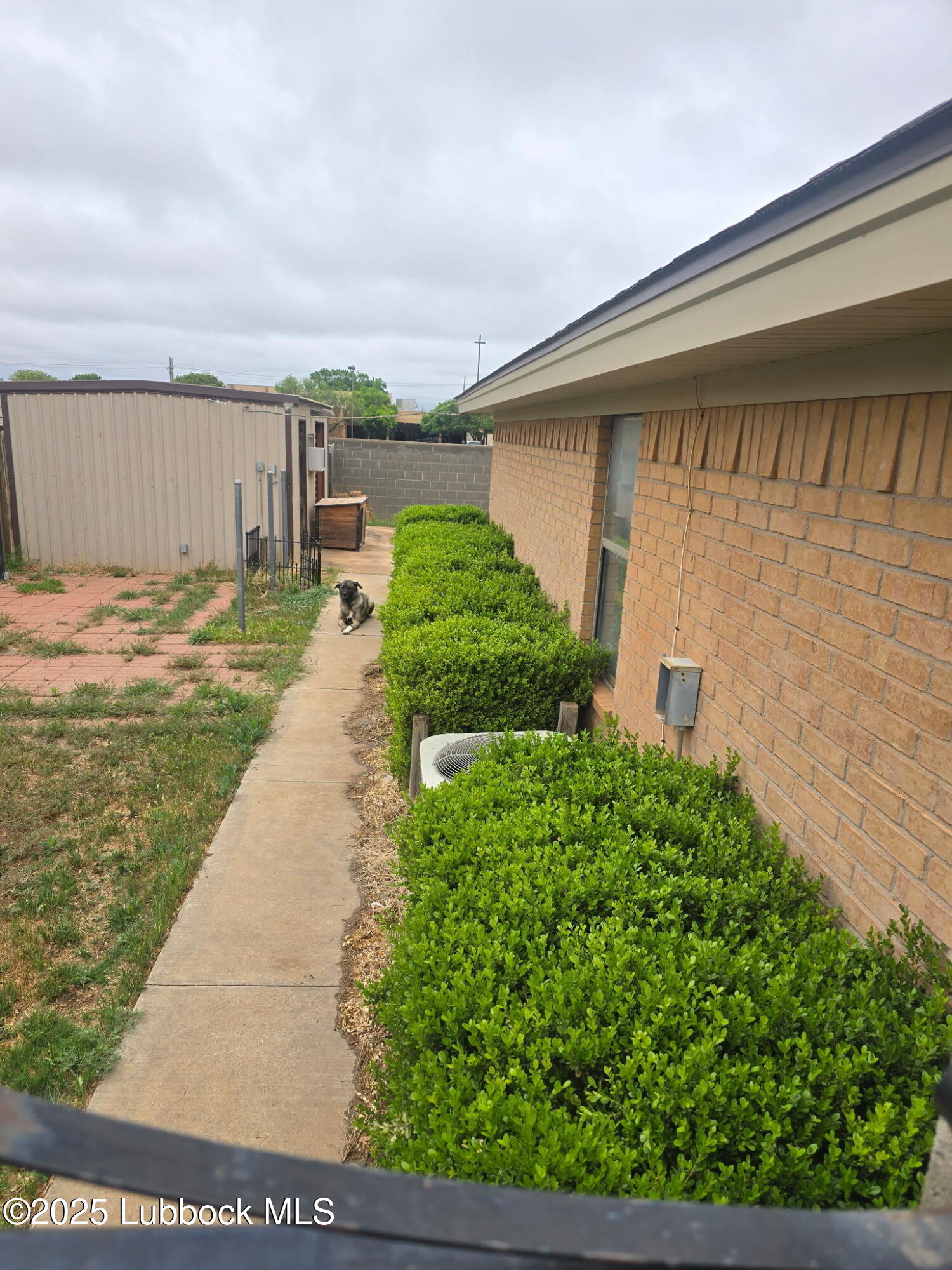 6004 68th Street Lubbock, TX 79424 - Photo 14 of 16 a front view of a house with garden