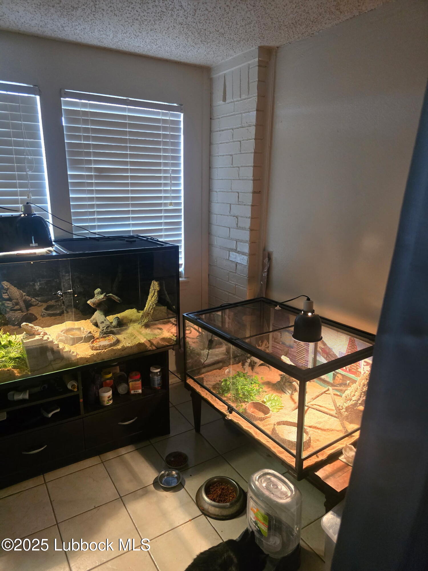 6004 68th Street Lubbock, TX 79424 - Photo 9 of 16 a view of barbeque area with stove