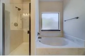 a bathroom with a bathtub and shower