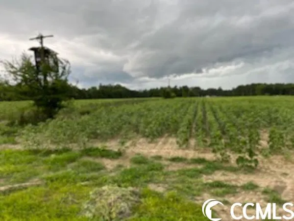 $1,490,000 | 821 Lake City Highway, Johnsonville, SC 29555