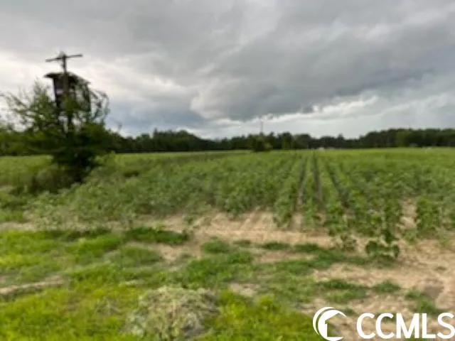 $1,490,000 | 821 Lake City Highway, Johnsonville, SC 29555