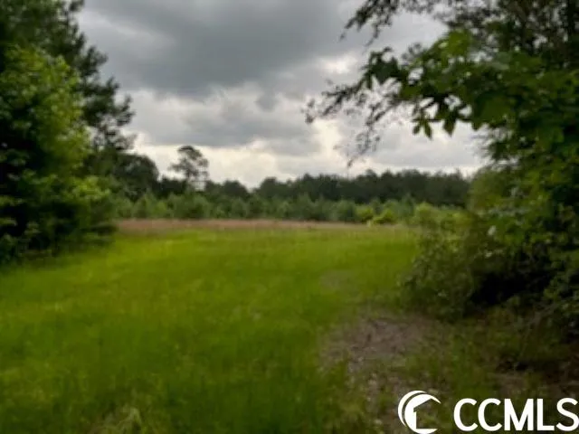 $1,490,000 | 821 Lake City Highway, Johnsonville, SC 29555