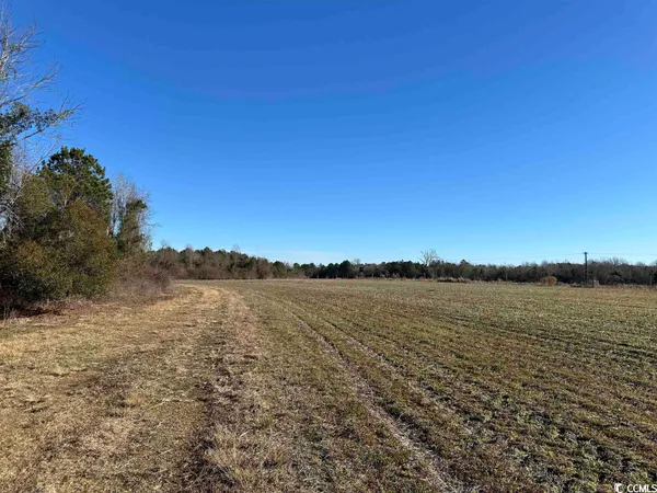 $1,490,000 | 821 Lake City Highway, Johnsonville, SC 29555