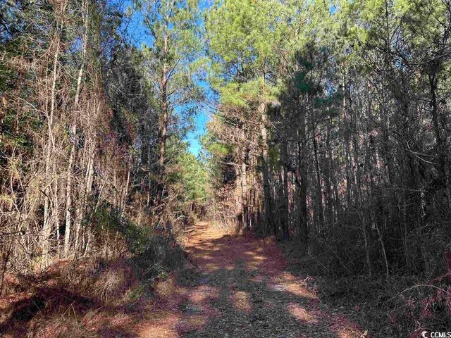 $1,490,000 | 821 Lake City Highway, Johnsonville, SC 29555