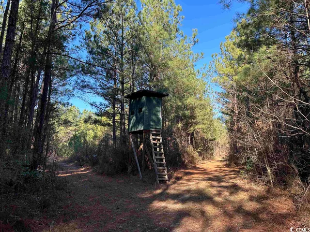 $1,490,000 | 821 Lake City Highway, Johnsonville, SC 29555