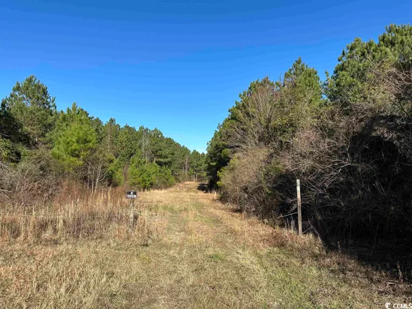 $1,490,000 | 821 Lake City Highway, Johnsonville, SC 29555