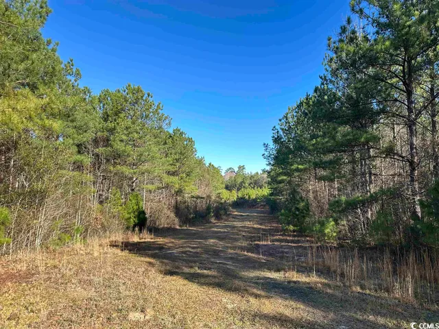 $1,490,000 | 821 Lake City Highway, Johnsonville, SC 29555