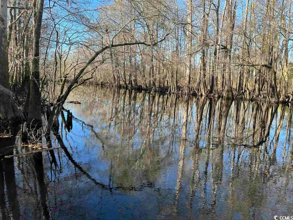 $1,490,000 | 821 Lake City Highway, Johnsonville, SC 29555