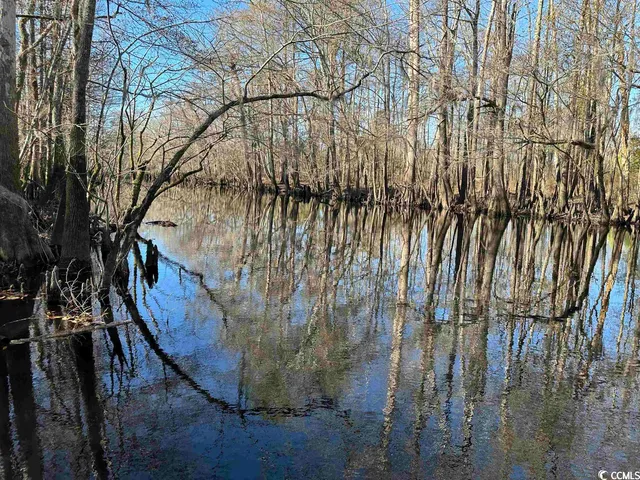 $1,490,000 | 821 Lake City Highway, Johnsonville, SC 29555