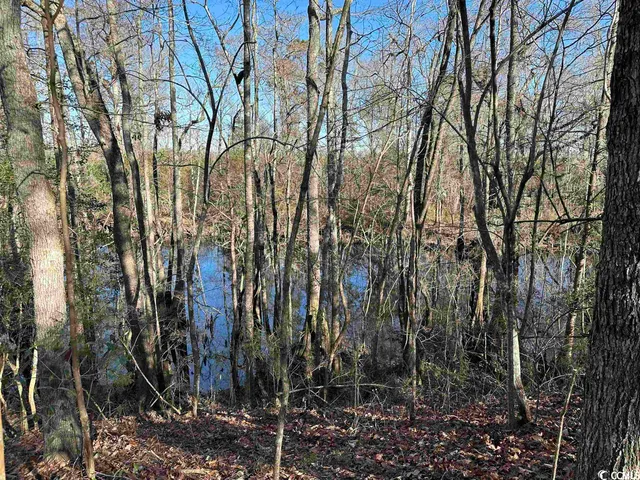 $1,490,000 | 821 Lake City Highway, Johnsonville, SC 29555