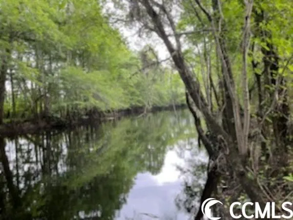 $1,490,000 | 821 Lake City Highway, Johnsonville, SC 29555