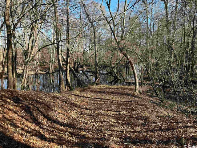 $1,490,000 | 821 Lake City Highway, Johnsonville, SC 29555