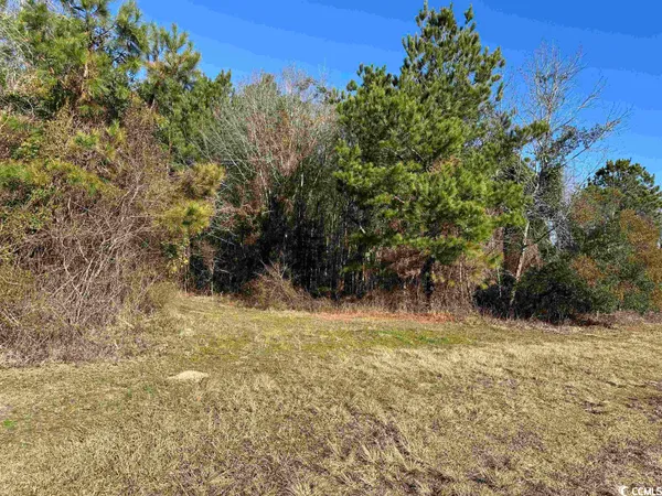 $1,490,000 | 821 Lake City Highway, Johnsonville, SC 29555