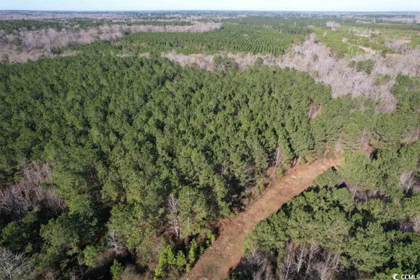 $1,490,000 | 821 Lake City Highway, Johnsonville, SC 29555