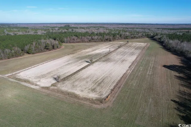 $1,490,000 | 821 Lake City Highway, Johnsonville, SC 29555