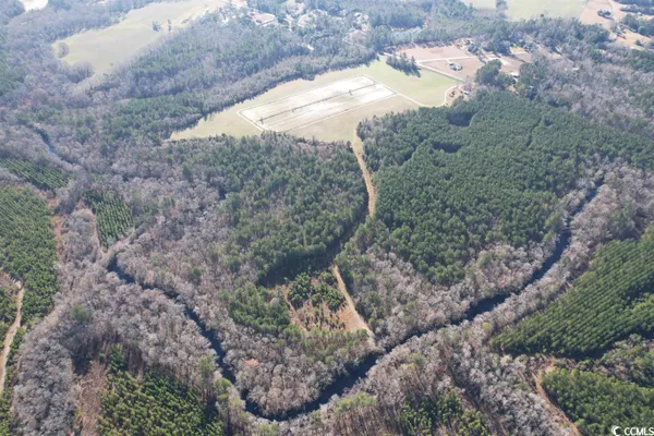 $1,490,000 | 821 Lake City Highway, Johnsonville, SC 29555