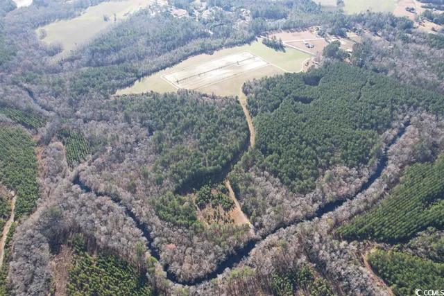 $1,490,000 | 821 Lake City Highway, Johnsonville, SC 29555