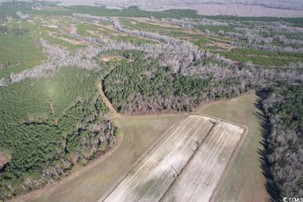 $1,490,000 | 821 Lake City Highway, Johnsonville, SC 29555