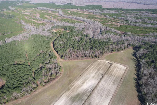 $1,490,000 | 821 Lake City Highway, Johnsonville, SC 29555