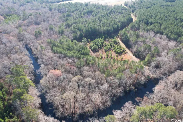 $1,490,000 | 821 Lake City Highway, Johnsonville, SC 29555