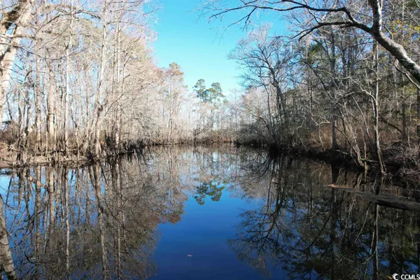 $1,490,000 | 821 Lake City Highway, Johnsonville, SC 29555