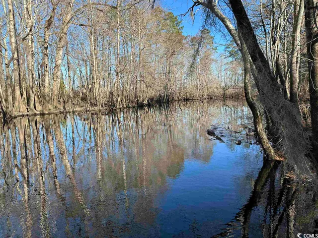 $1,490,000 | 821 Lake City Highway, Johnsonville, SC 29555