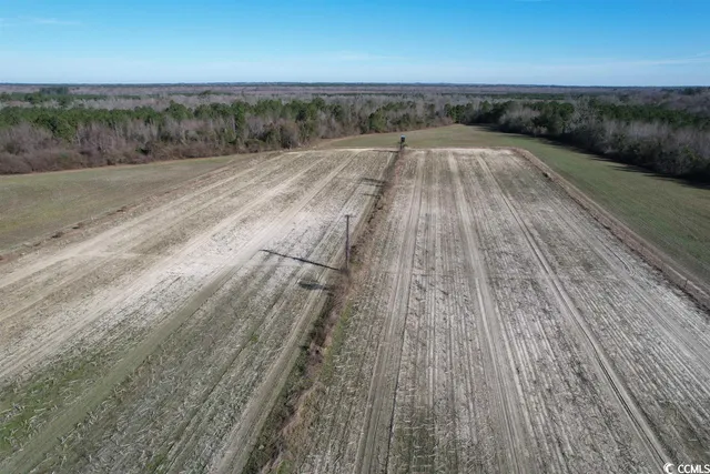 $1,490,000 | 821 Lake City Highway, Johnsonville, SC 29555