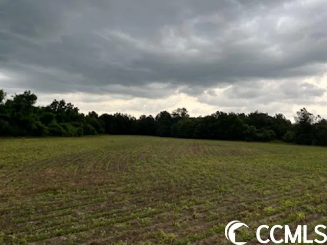 $1,490,000 | 821 Lake City Highway, Johnsonville, SC 29555