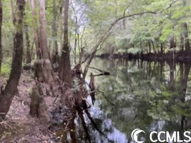 $1,490,000 | 821 Lake City Highway, Johnsonville, SC 29555