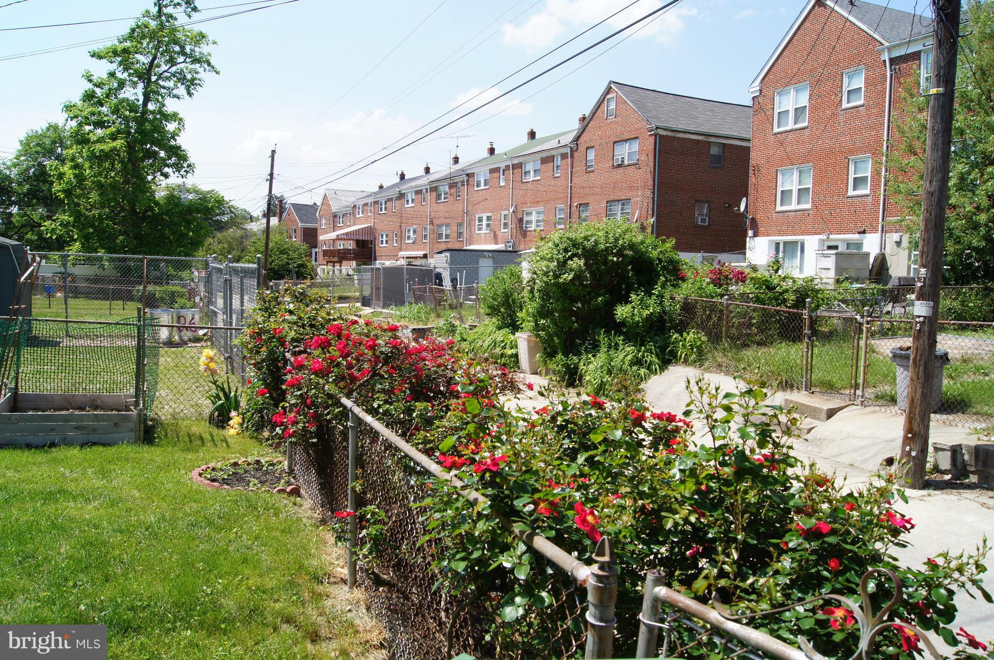1628 Heathfield Road Baltimore, MD 21239 - Photo 27 of 27 NICE ROSES!!
