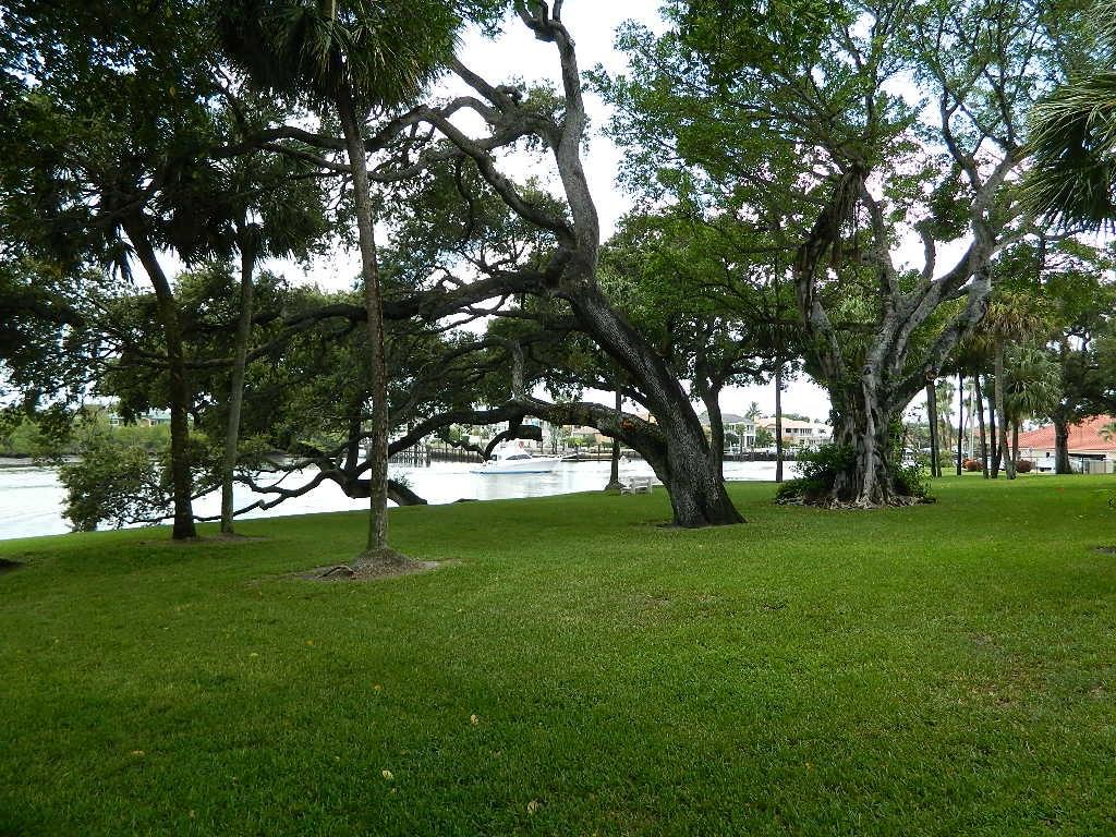 390 Golfview Road, Unit B North Palm Beach, FL 33408 - Photo 19 of 22 Gallery Image 19