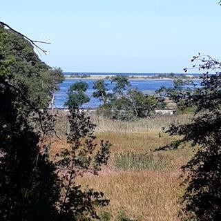 0 Pasture Road East Sandwich, MA 02537 - Photo 2 of 7