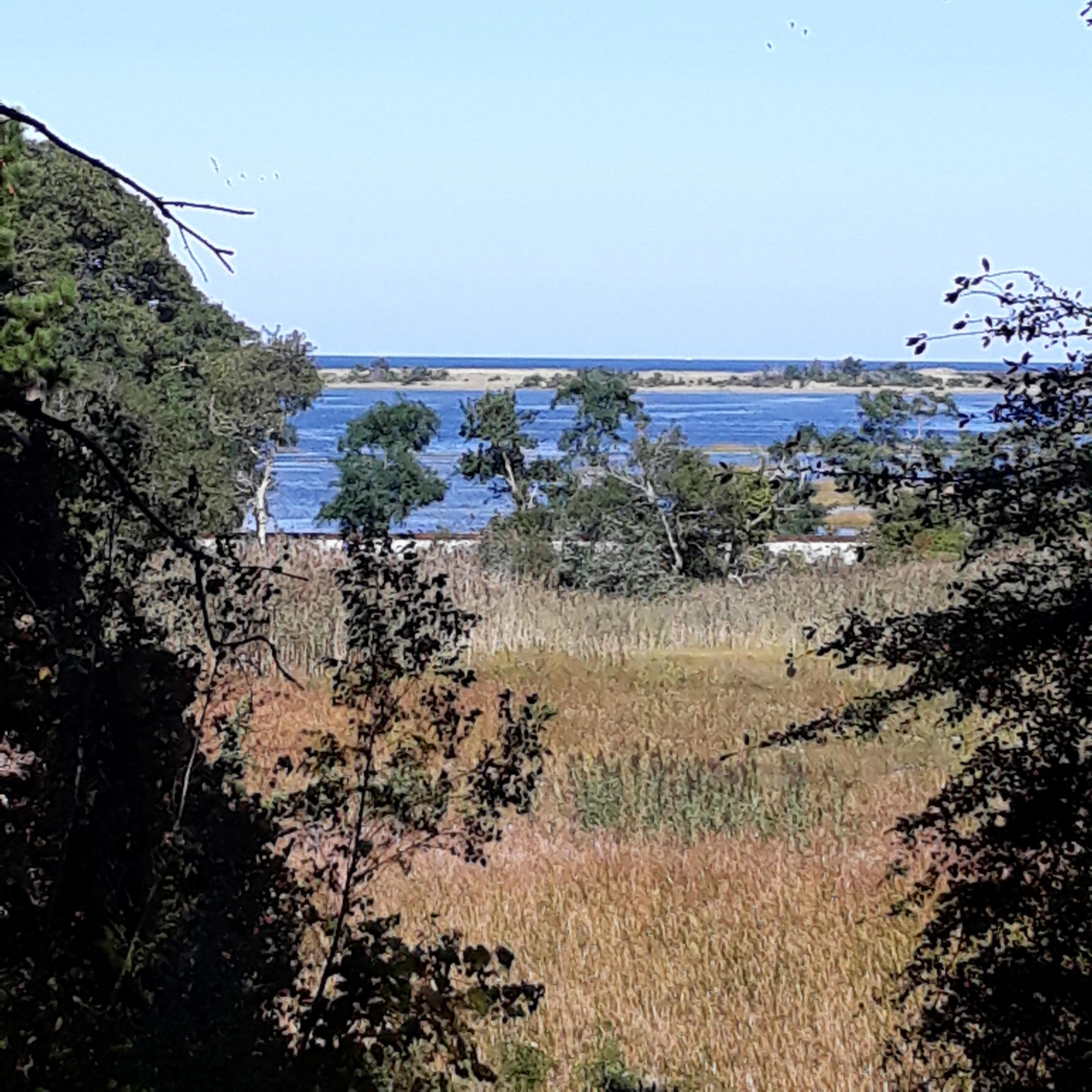 0 Pasture Road East Sandwich, MA 02537 - Photo 5 of 7 a view of lake
