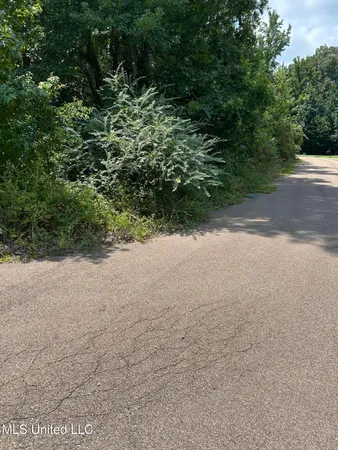 $30,000 | 0 Fable Cove, Terry, MS 39170