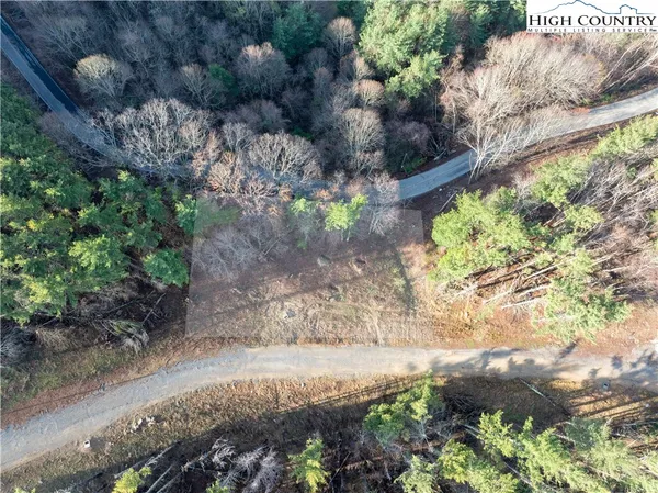 a view of a field with a tree