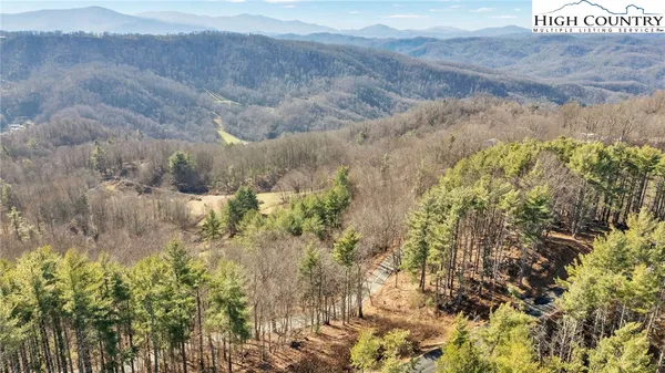 a view of a pathway of a yard