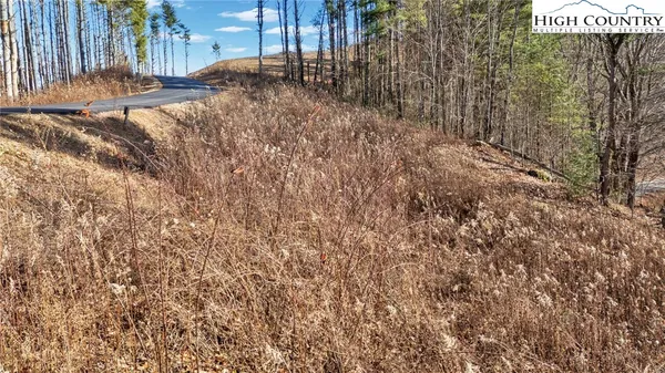 a view of swimming pool of the house