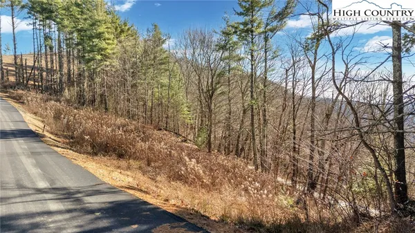 a view of yard with green space
