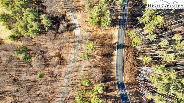 a view of a forest with a mountain