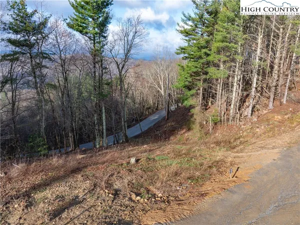 a view of a yard with trees