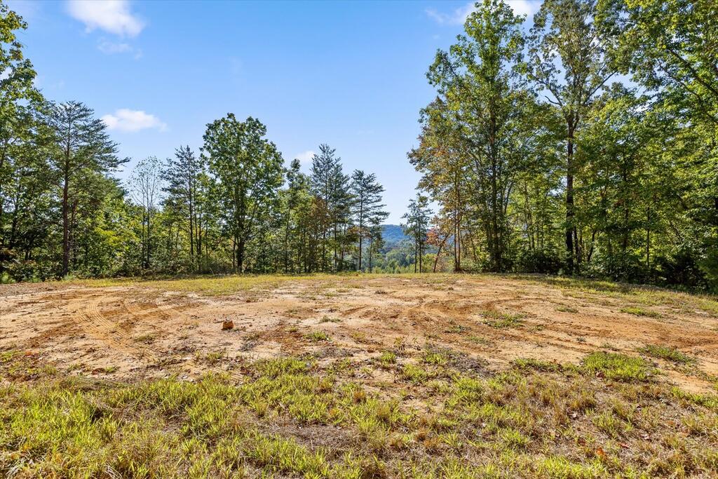 132 Turvey Nichols Road Crandall, GA 30711 - Photo 15 of 26 Gallery Image 15