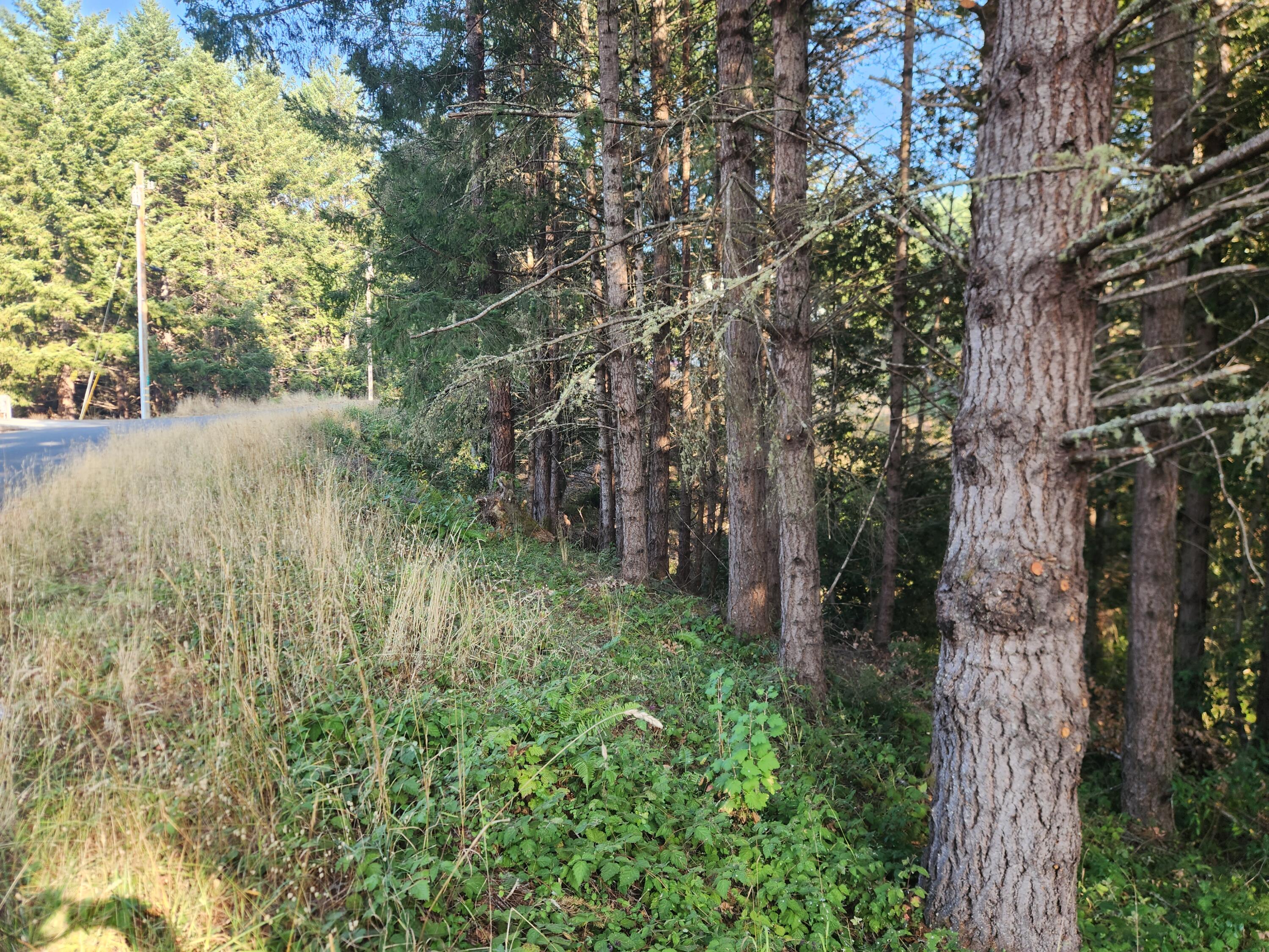 768 Redwood Road Whitethorn, CA 95589 - Photo 4 of 5 20230919_171206
