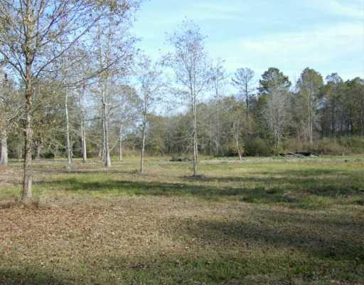 0 Off Highway Hammond, LA 70401 - Photo 1 of 1