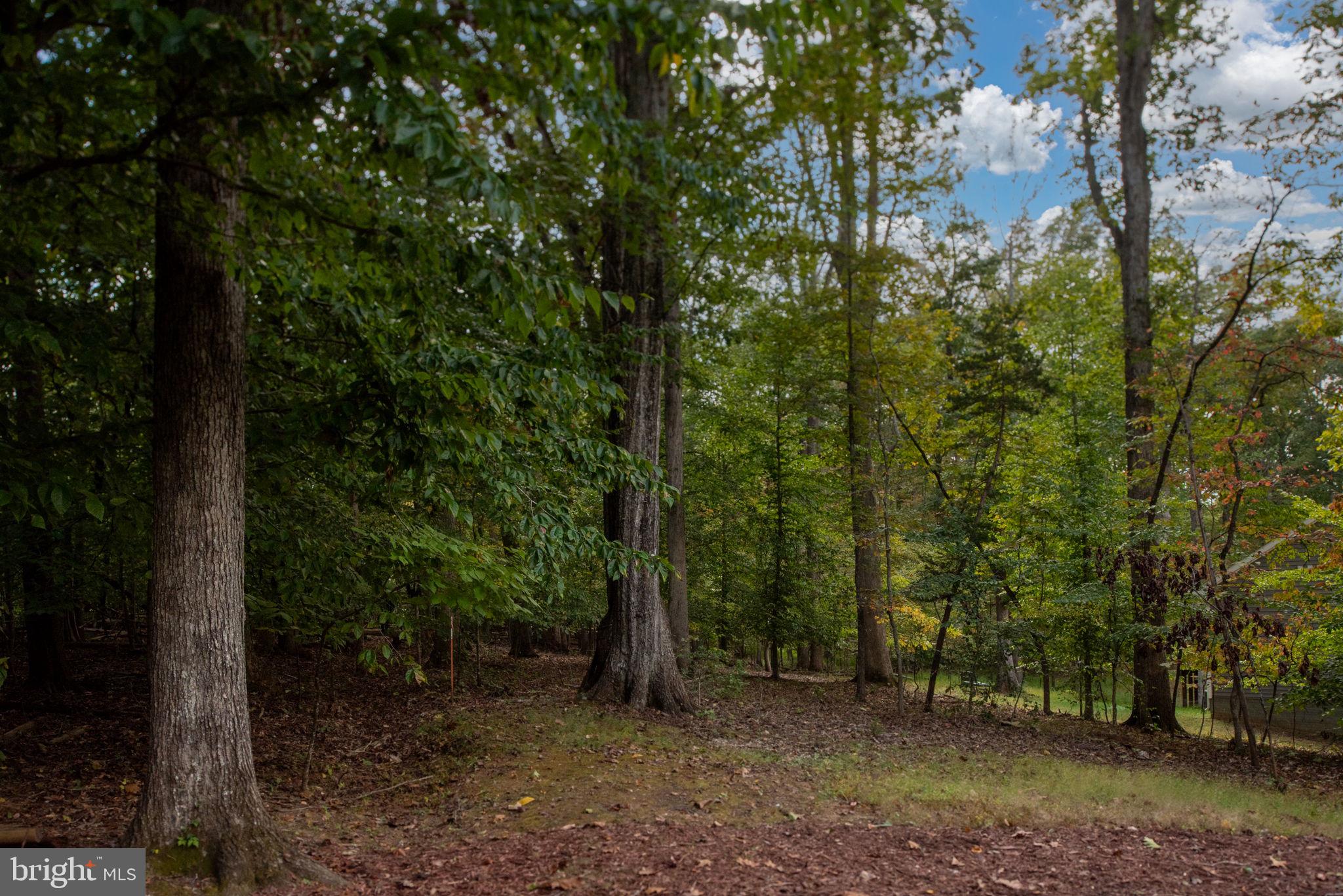 209 Edgemont Lane Locust Grove, VA 22508 - Photo 40 of 48 a view of outdoor space and trees