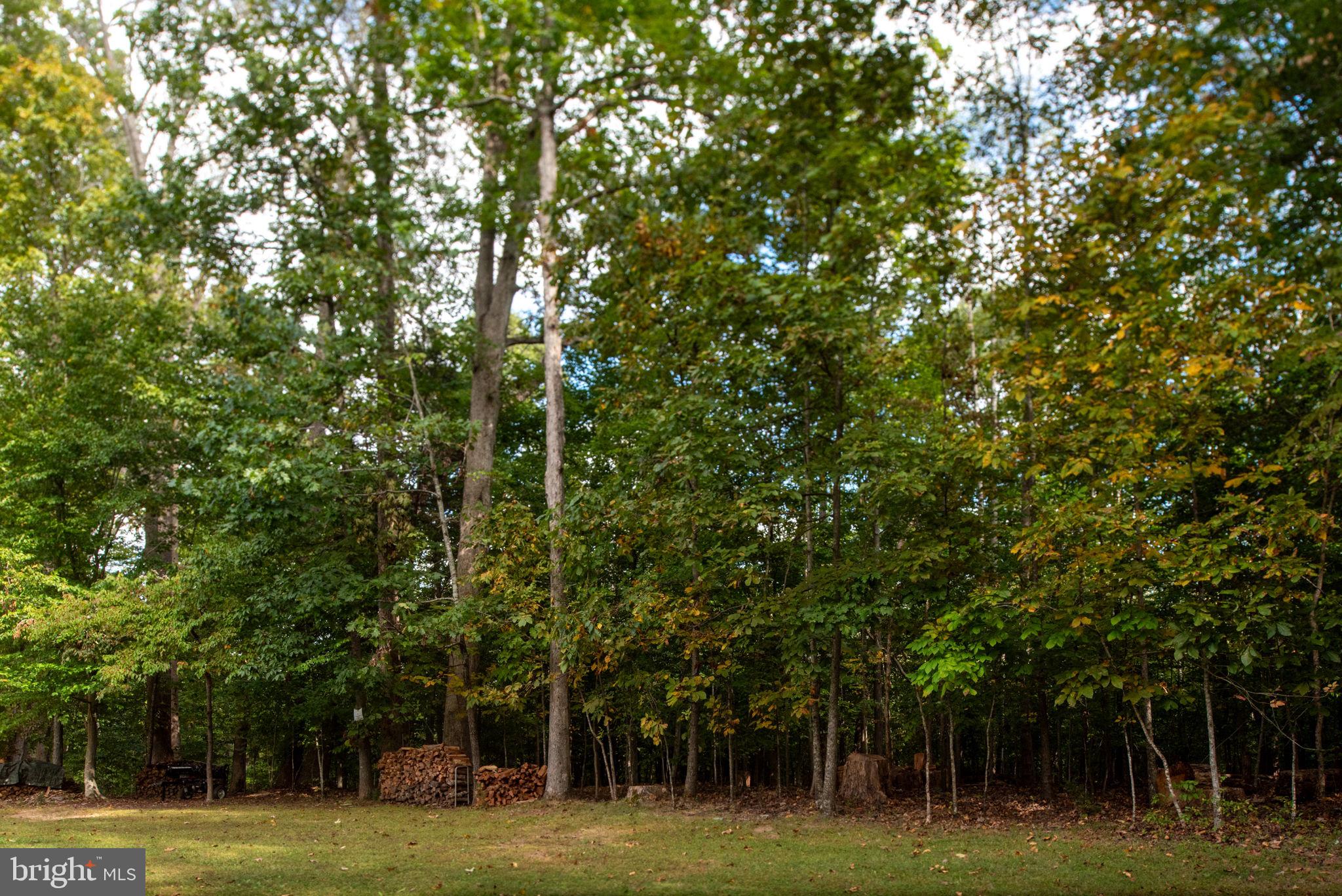 209 Edgemont Lane Locust Grove, VA 22508 - Photo 42 of 48 a view of a park with large trees