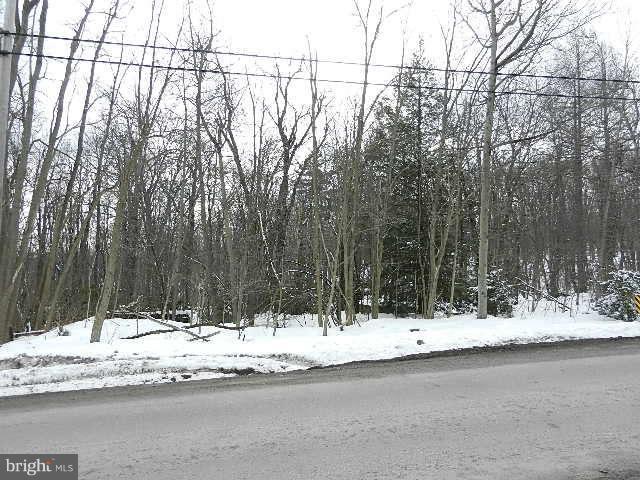 40 Rt Grantsville, MD 21536 - Photo 4 of 6 ROAD VIEW TOWARDS DEEP CREEK LAKE
