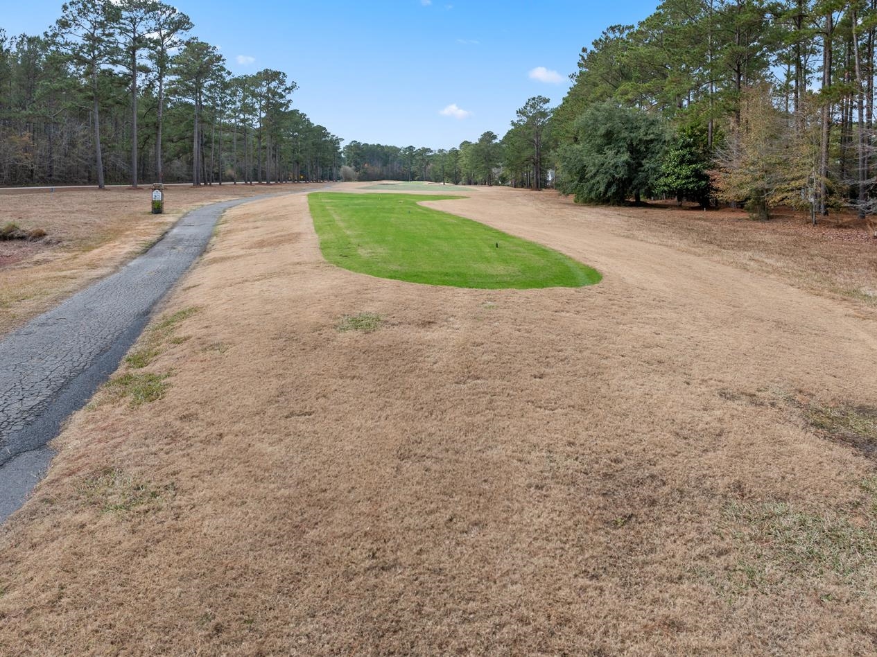 291 Francis Parker Road Georgetown, SC 29440 - Photo 17 of 48