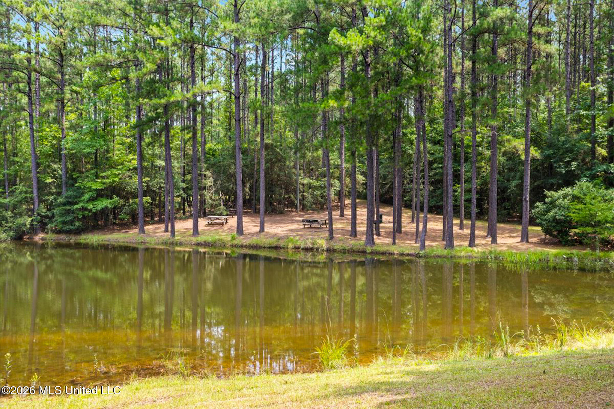 3181 Centerville Road Magnolia, MS 39652 - Photo 6 of 53 IMG_9190
