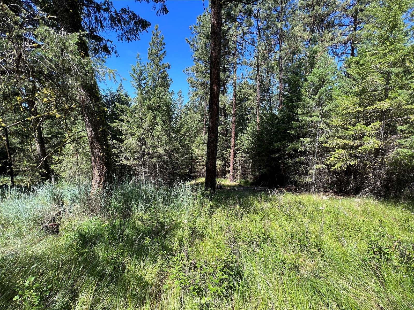 14 Grizzly Loop Road Republic, WA 99166 - Photo 12 of 28 a view of a garden